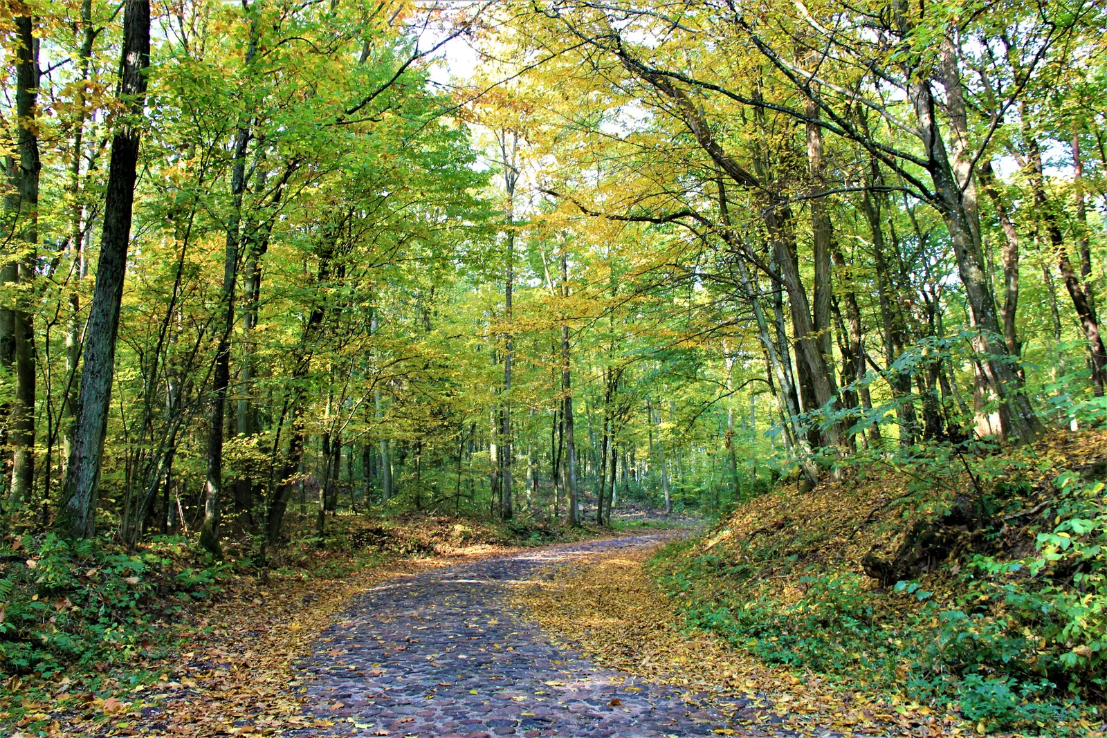 Odkryj Górznieńsko-Lidzbarski Park Krajobrazowy z ESKAPADĄ